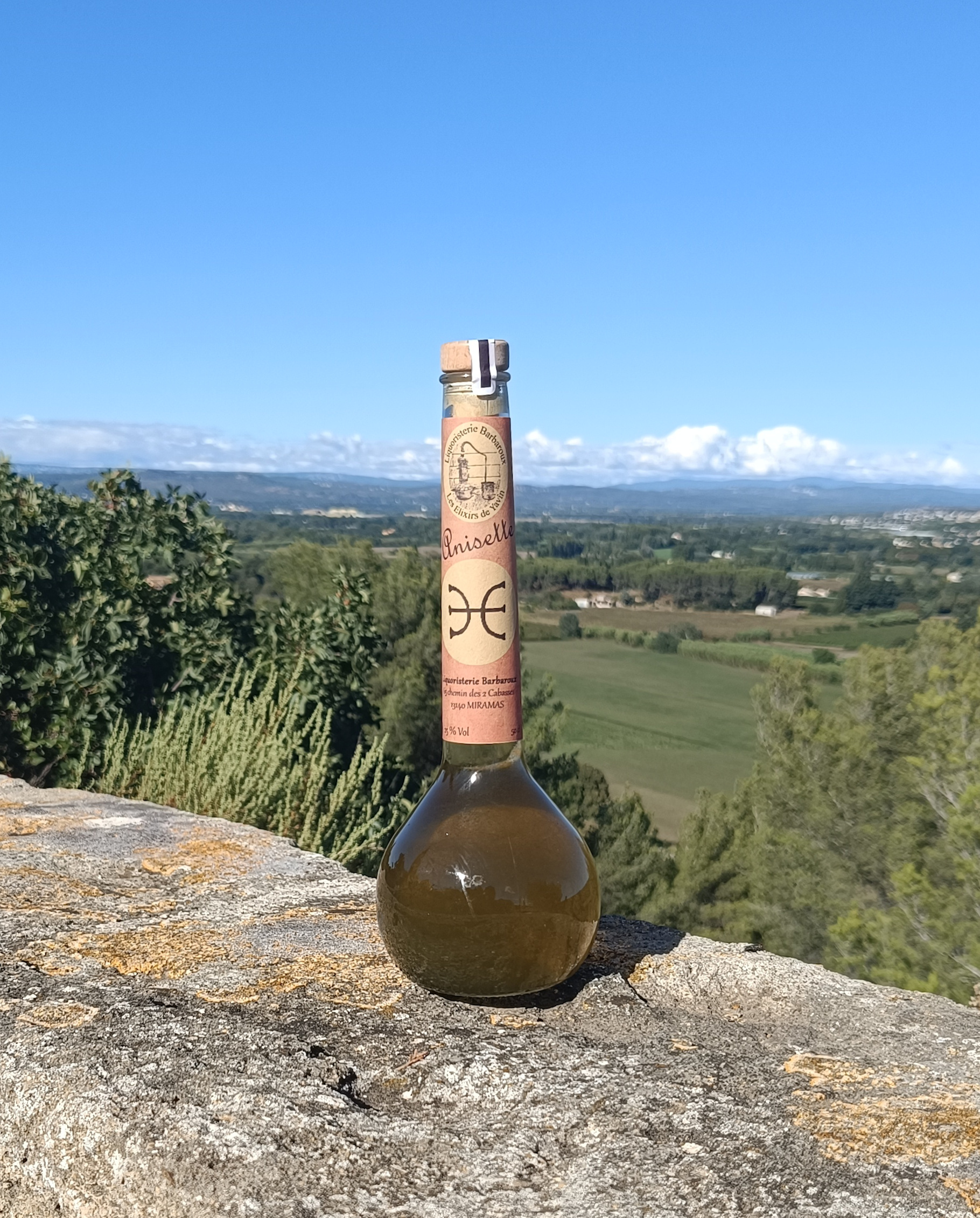 Anisette