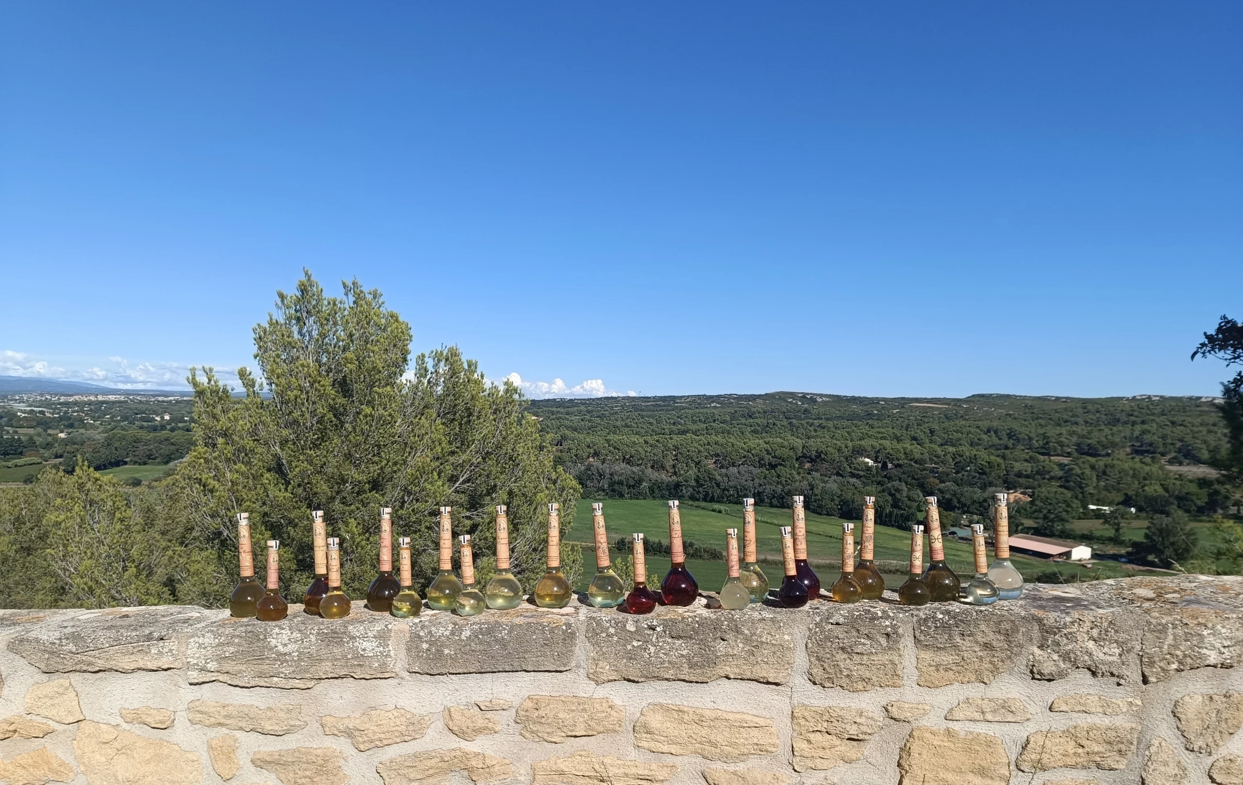 Toutes-liqueurs